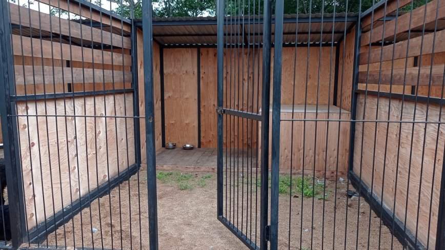 Детектив по-приморски: коварное похищение, удержание в клетке и силовой метод Росгвардии