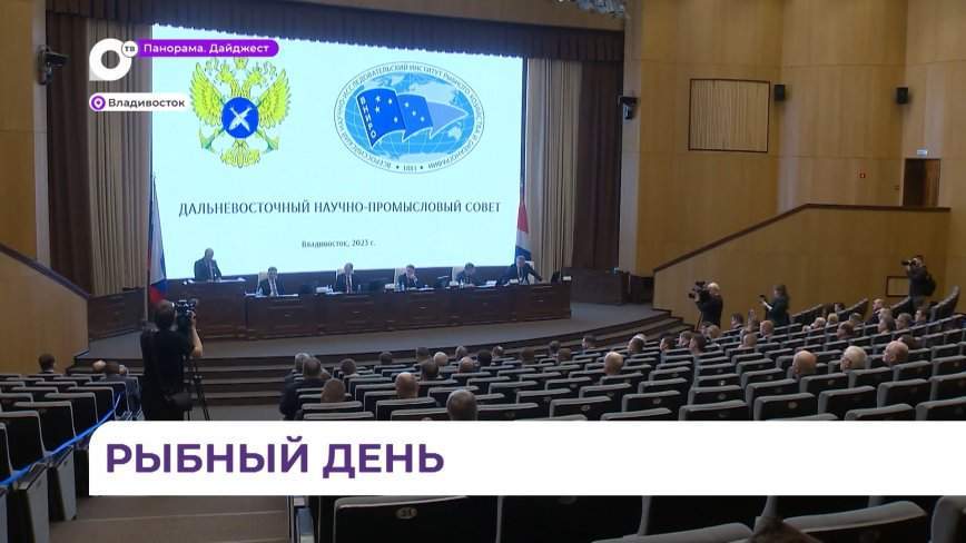Рыбаки Приморья освоили минтаевые квоты в Охотском море на 84%
