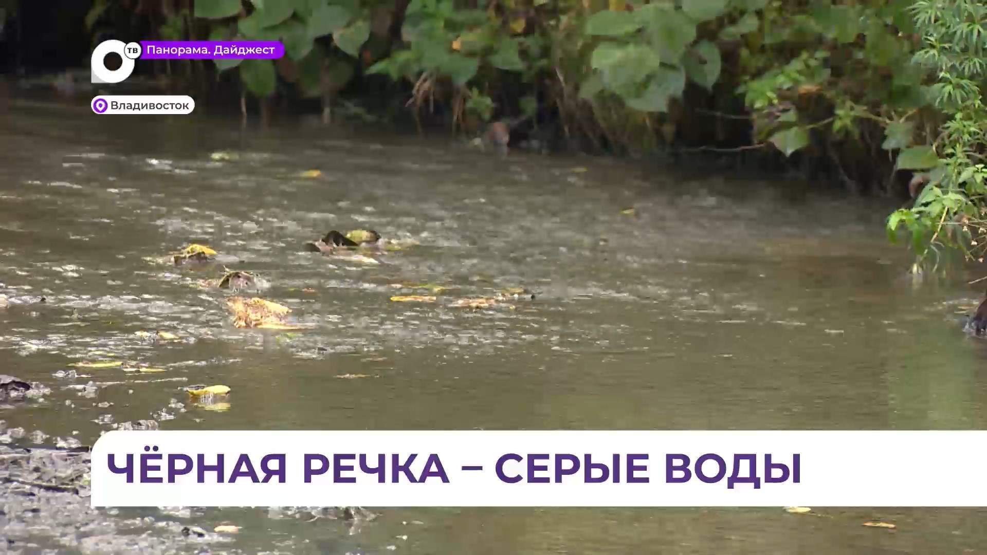Чёрная речка в районе Океанской наполнилась канализационными стоками – жители бьют тревогу