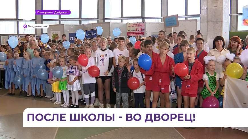 Фестиваль допобразования «День Д'обра» прошёл во Владивостоке