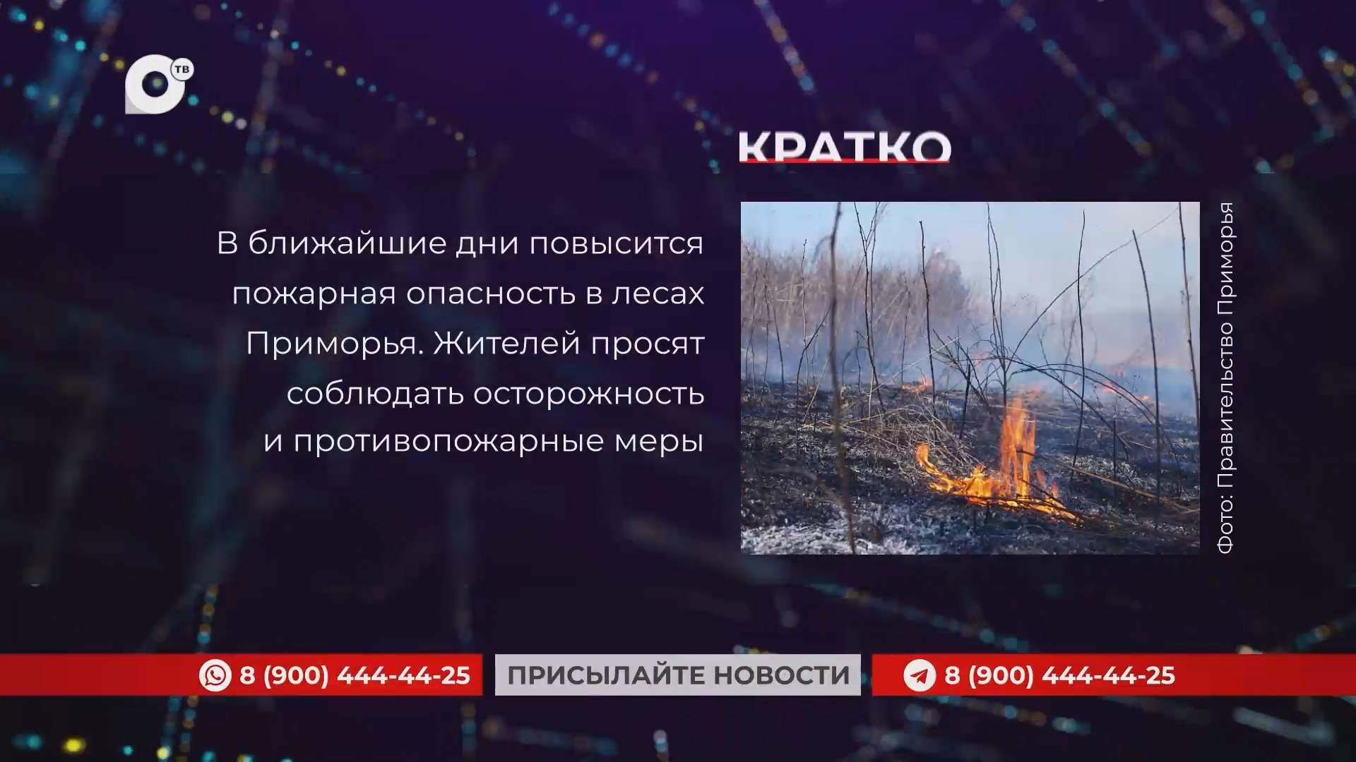Кратко / 01.10.25 / Утро