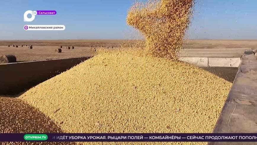 Сельсовет / Битва с урожаем / 12.11.22