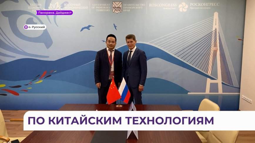 Больницы, дороги и Рудневский мост: известная компания отстроит инфраструктуру во Владивостоке