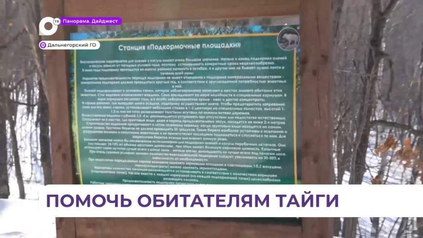 Специалисты организовали лесные столовые в районах Приморья, пострадавших от снегопада
