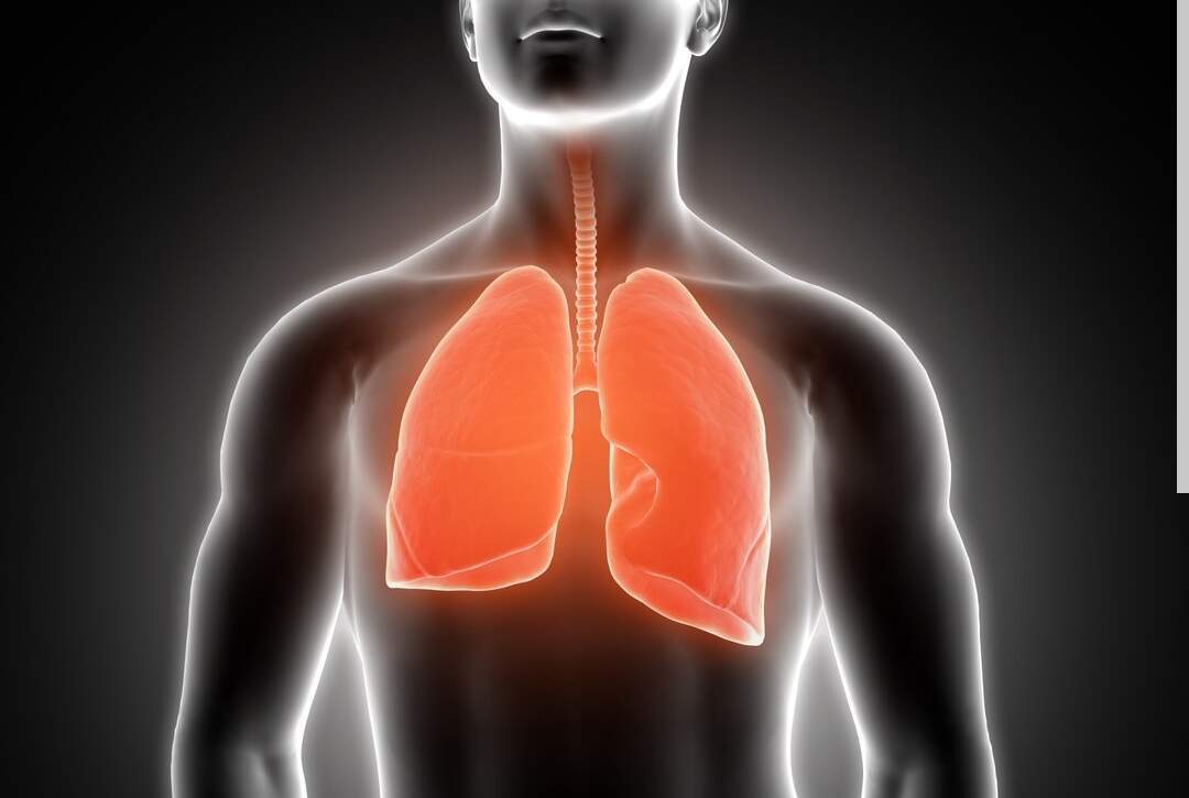 Дышать во Владивостоке станет легче: у экспертов есть план