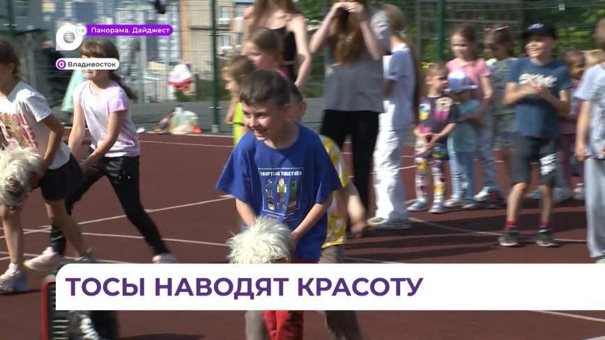 ТОС на Нерчинской во Владивостоке выиграл краевой конкурс грантов