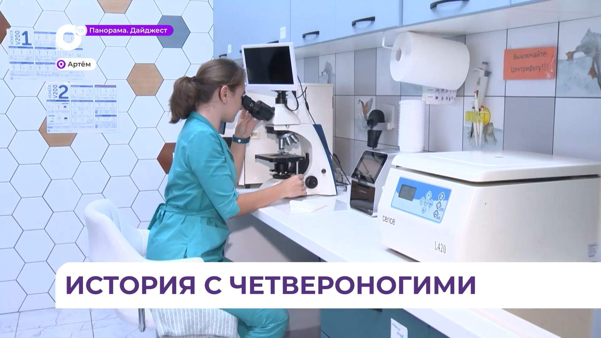В Приморье разгорелся скандал вокруг ветеринарной клиники из Артёма