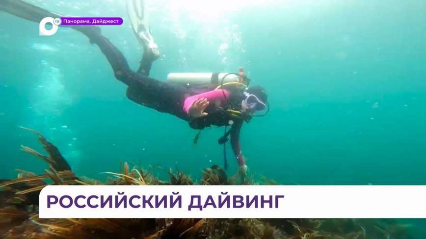 На ВЭФ обсудили перспективы развития подводного плавания