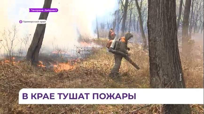 В Хасанском округе ликвидирован крупный пожар