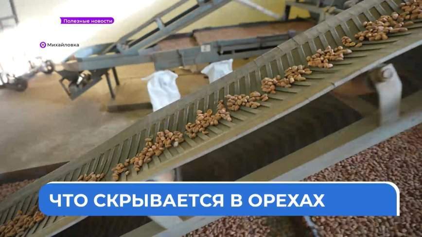 Полезные новости: Кедрус