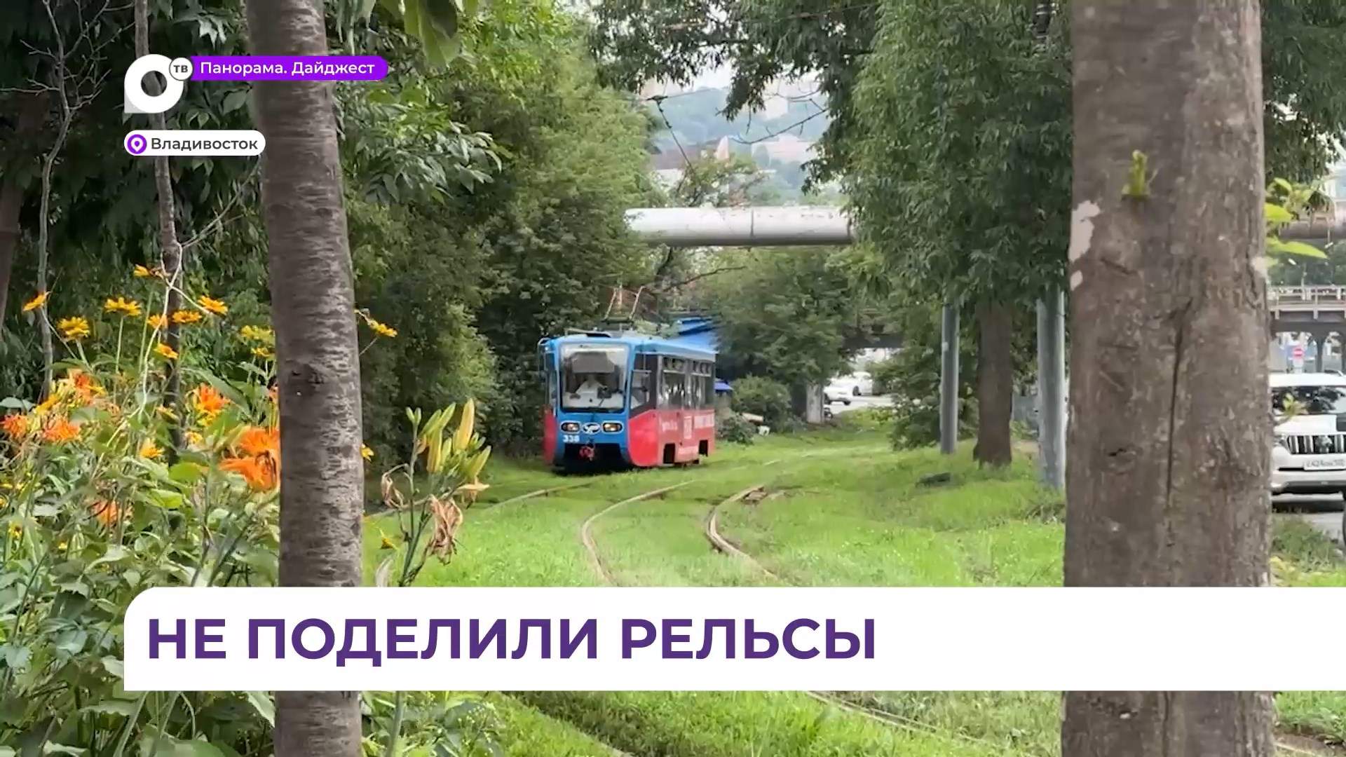 Женщина попала под трамвай на Спортивной во Владивостоке