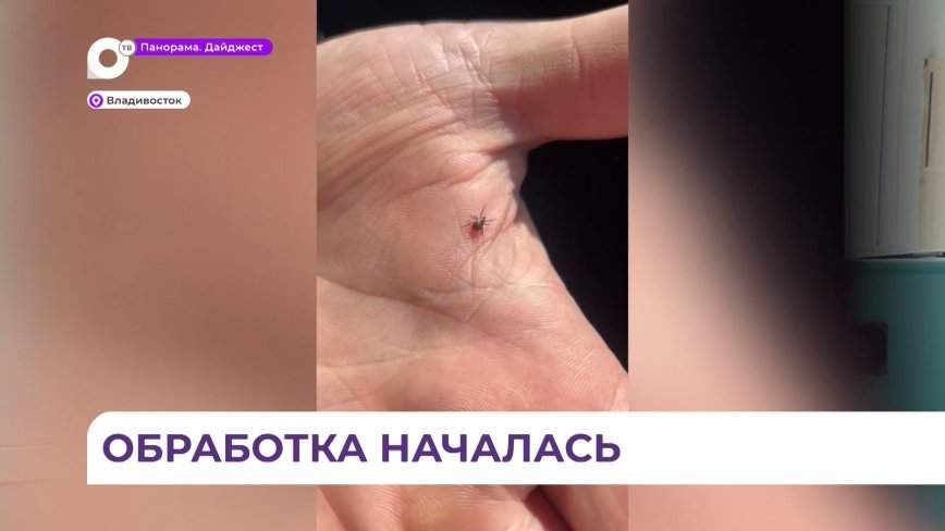 В Приморье стартовала акарицидная обработка общественных территорий