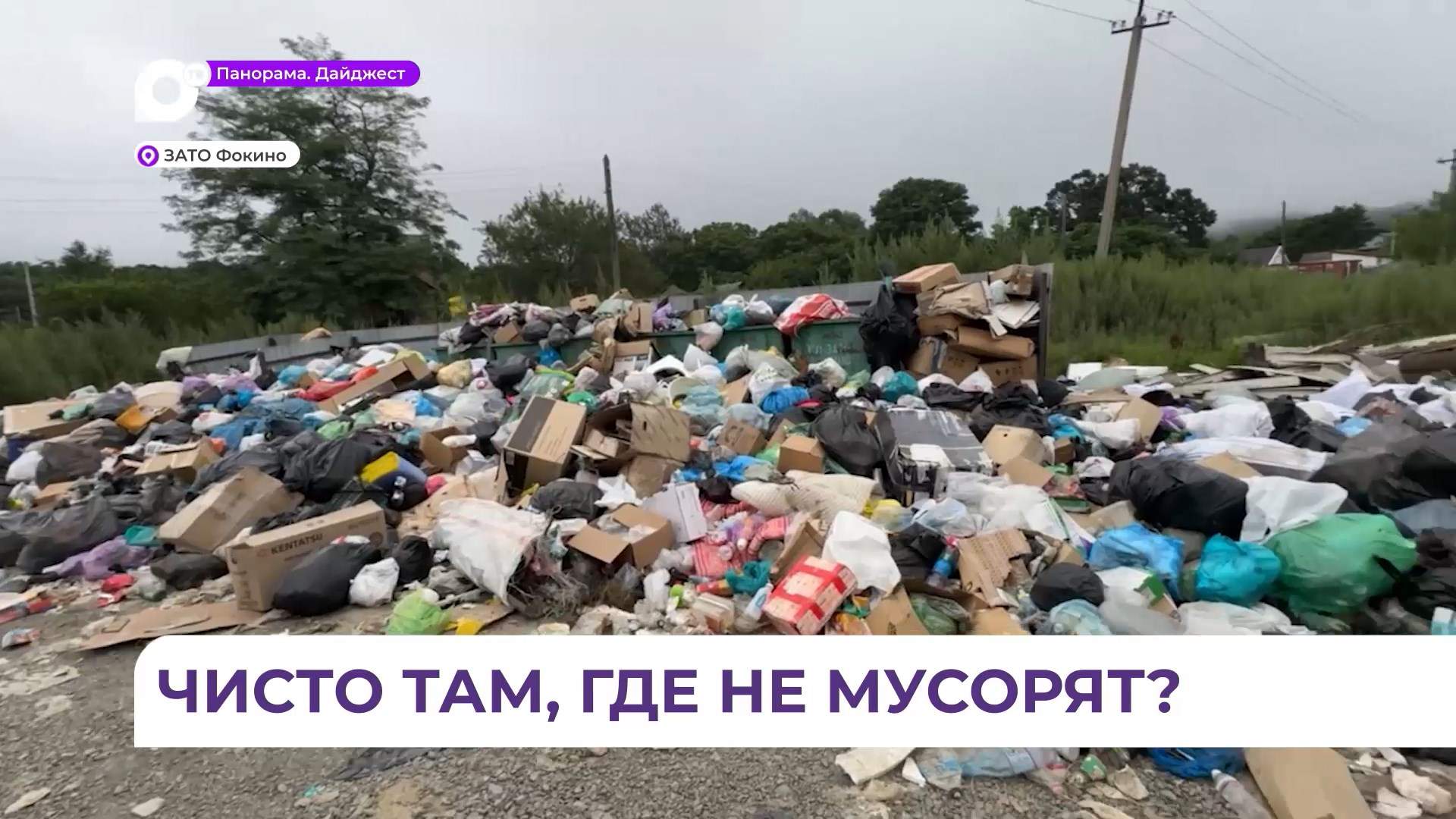 В городе Фокино резко обострилась проблема вывоза мусора