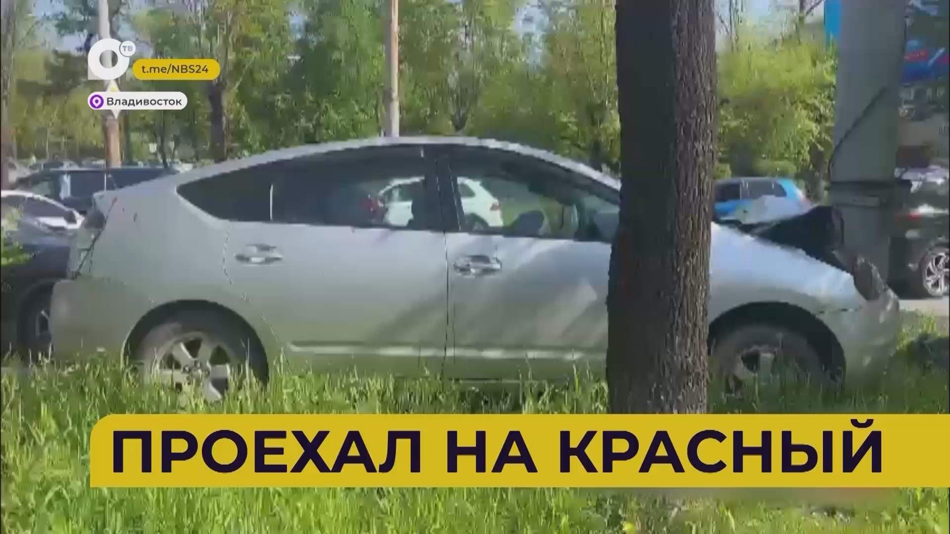 Автопатруль112 / Проехал на красный / Пёс на дороге / Снёс леера / 20.05.25