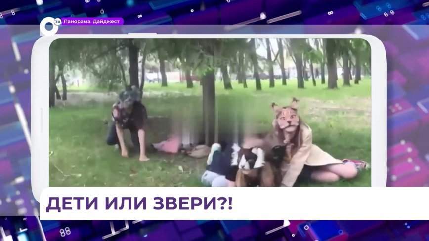Уши, лапы и хвосты выпорхнули на улицы российских городов с приходом тепла
