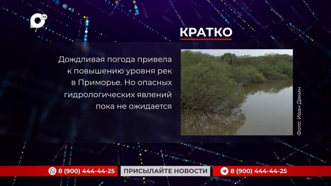 Кратко / 11.06.24 / Утро