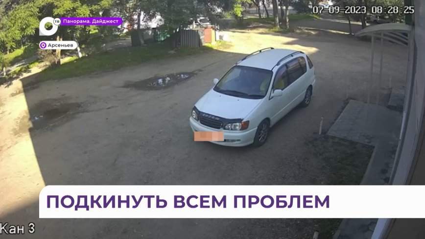 «Нет сил молчать»: сотрудники ветеринарной клиники в Приморье обратились в полицию