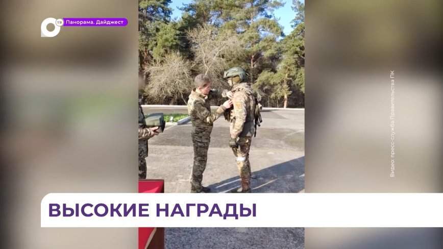 Бойцы 83-й отдельной гвардейской десантно-штурмовой бригады получили высокие государственные награды