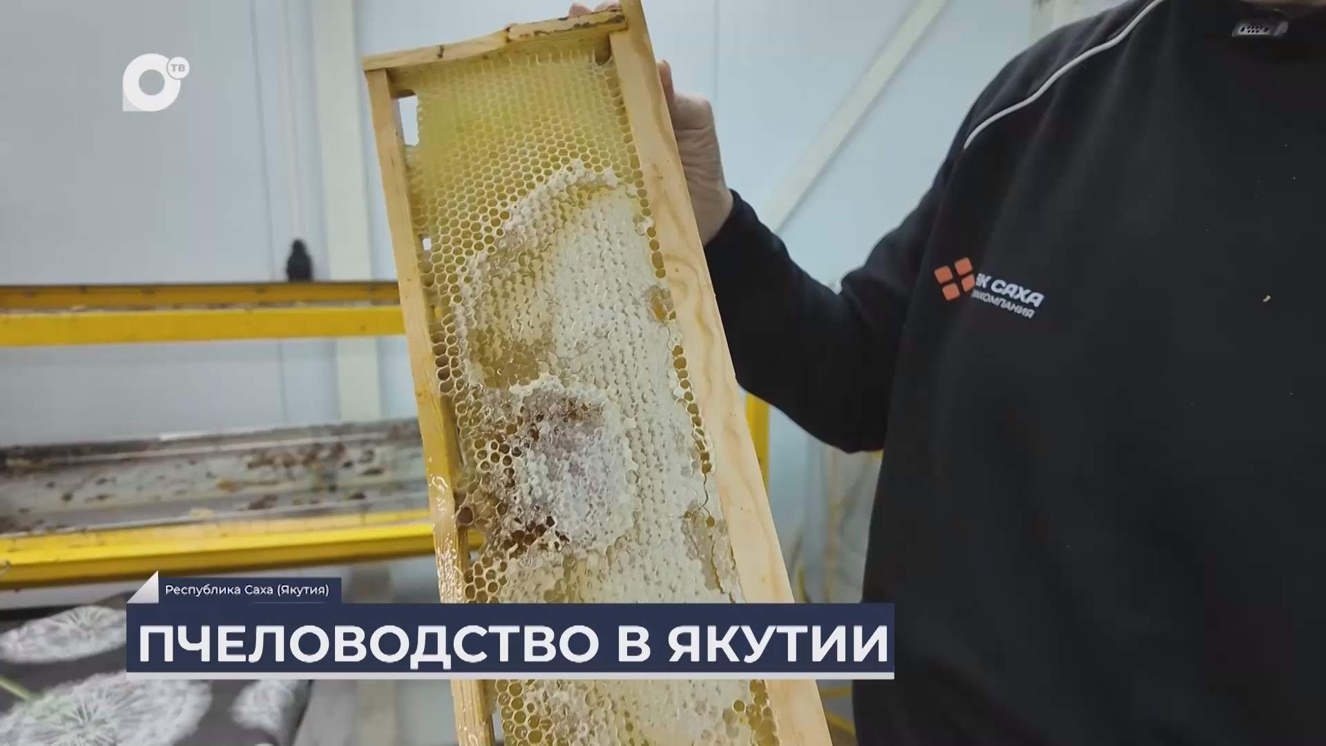 Дальний Восток на связи / Якутский мёд