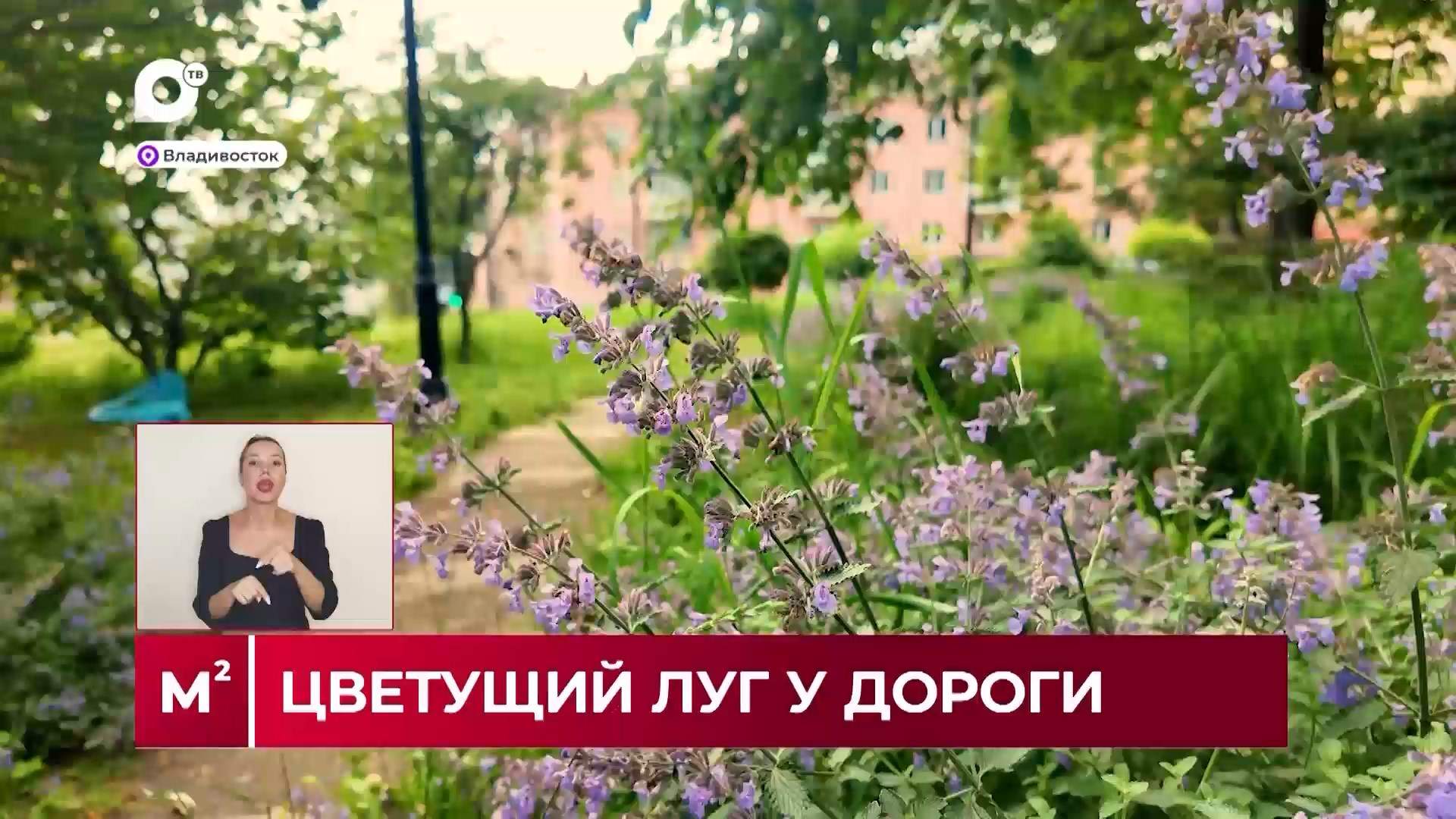 Квадратные метры / Озеленение по-современному / 14.07.26