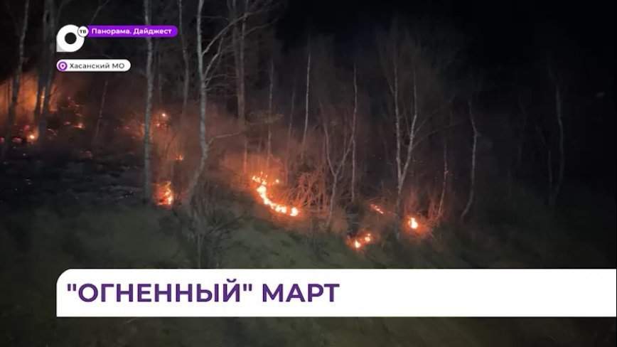 В южных районах Приморья введён особый противопожарный режим