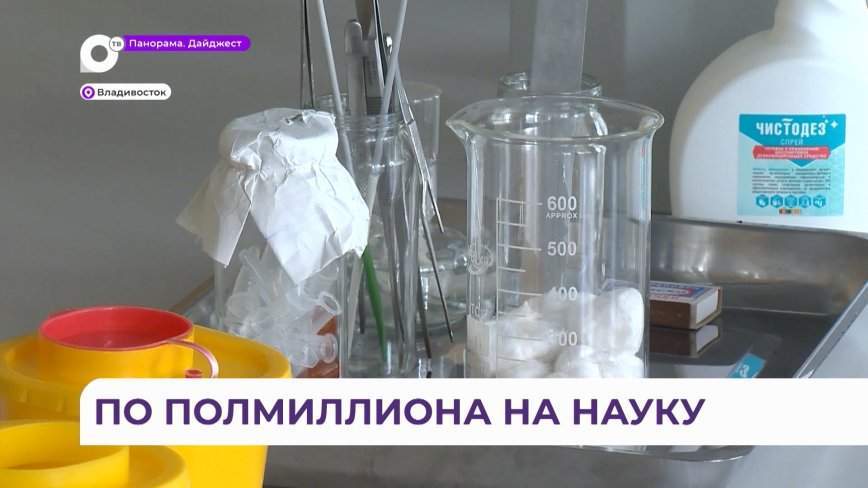 Молодые учёные из Владивостока стали финалистами федерального конкурса «Умник-2023»