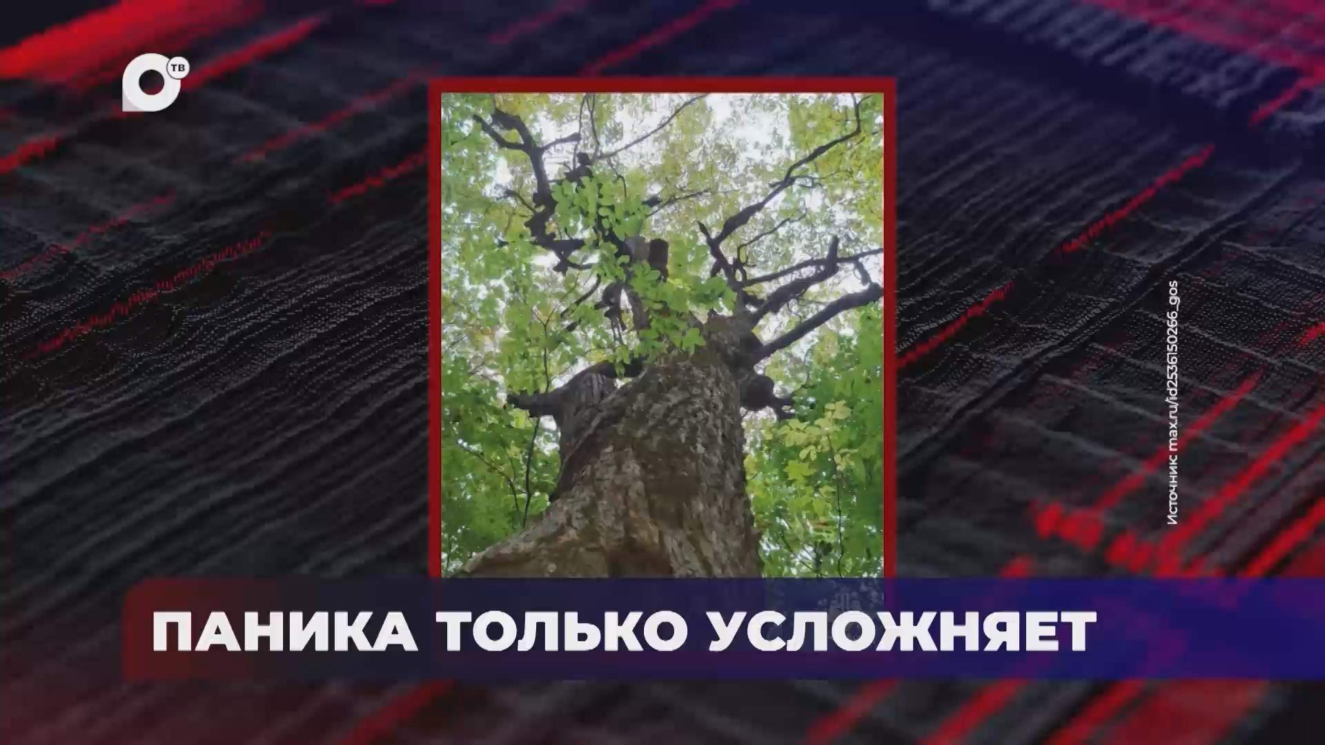 В порядке! / О безопасности / 24.08.26