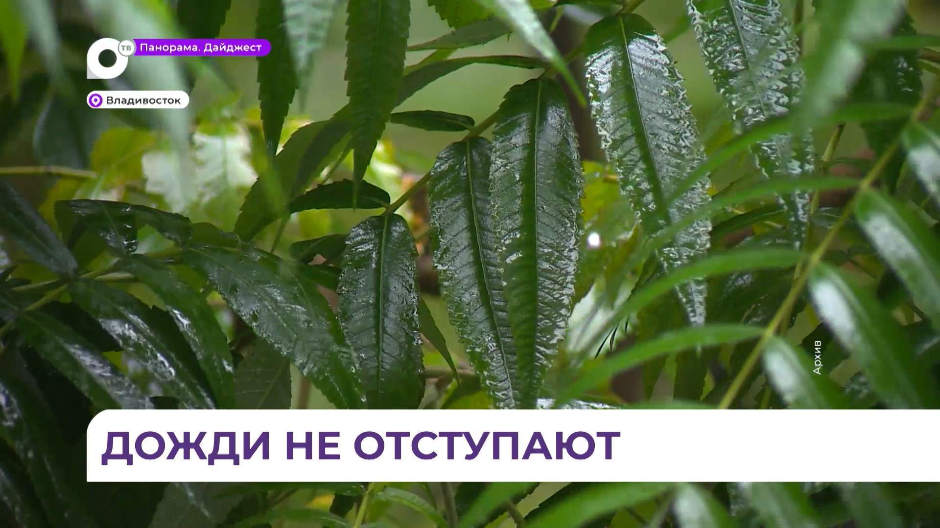  Во Владивостоке специалисты приступили к уборке дорог и расчистке тротуаров после дождя
