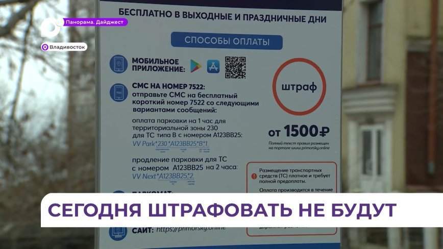 Из-за технических неполадок с паркоматами сегодня платные парковки во Владивостоке не работают