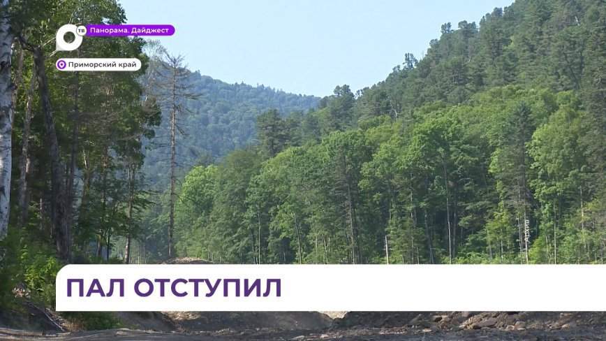 В Приморье отменён особый противопожарный режим