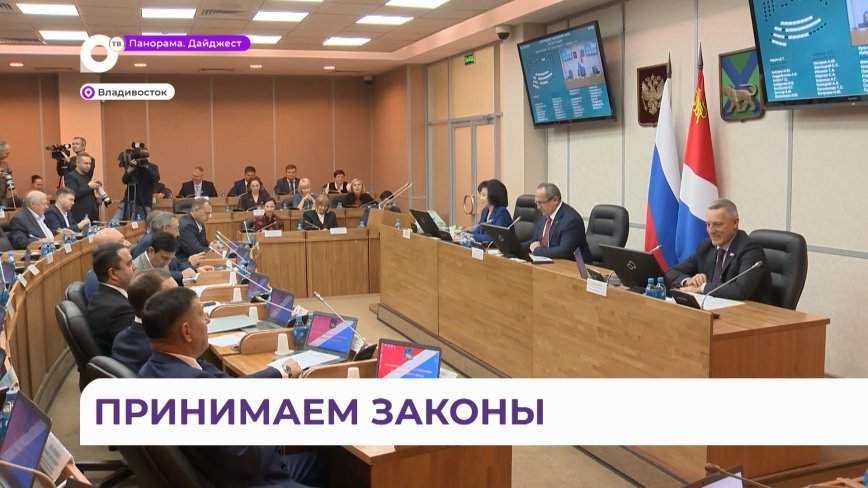 Приморский парламент определил, на какие цели пойдут 4,5 млрд рублей