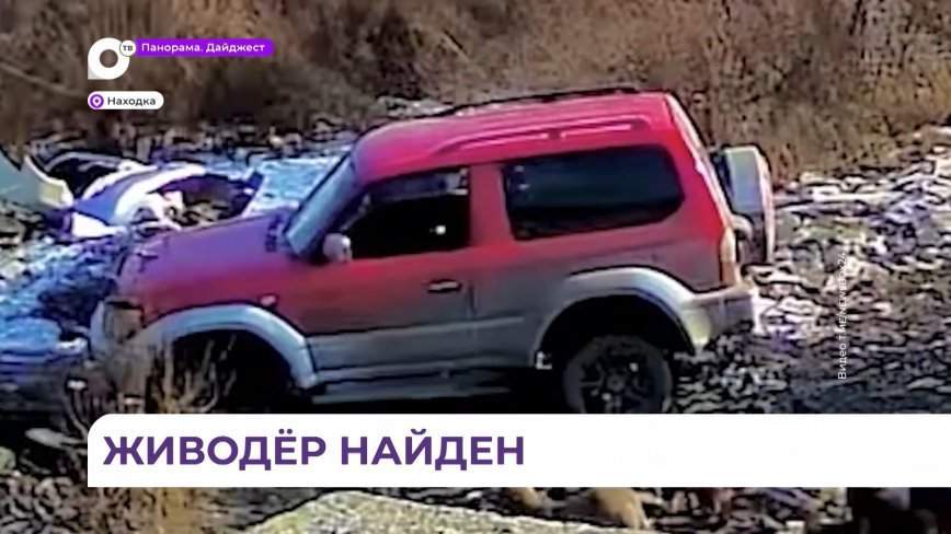 Полиция установила личность водителя, который застрелил собаку в Находке