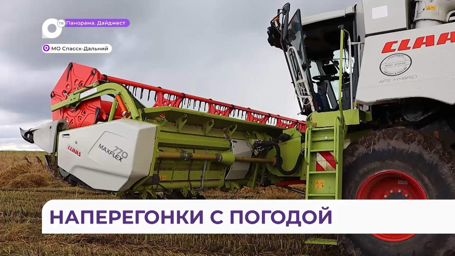 Уборка ранних зерновых и заготовка кормов в самом разгаре на полях МО Спасск-Дальний