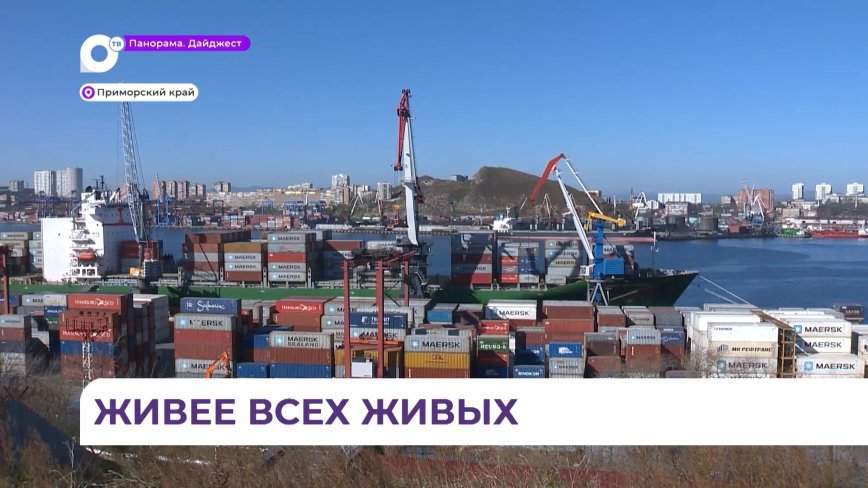 Приморские предприниматели продолжают экспортировать свои товары за рубеж