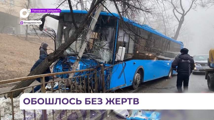 Во Владивостоке пассажирский автобус снёс металлический забор, столб освещения и врезался в дерево