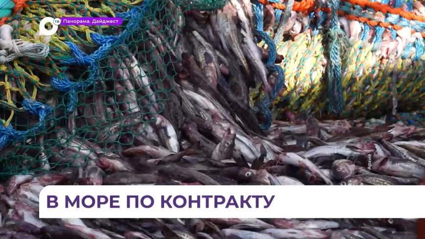 Законодатели одобрили целевое обучение в морском рыболовстве