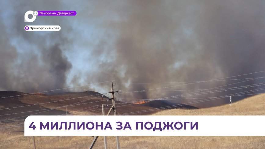 Поджигатели в Приморье заплатят более 4 миллионов рублей штрафов