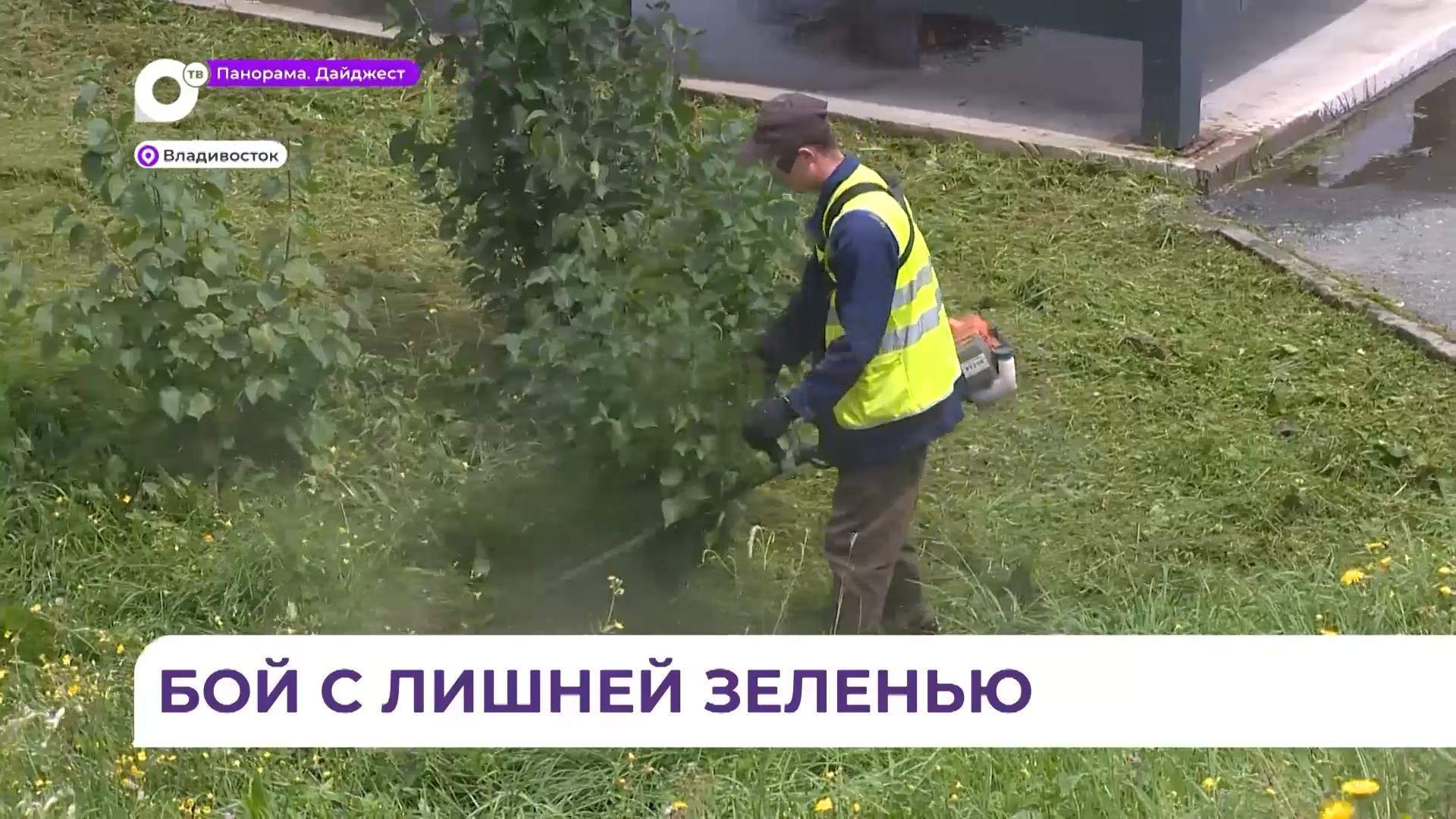 Порядка 300 гектаров травы выкосили во Владивостоке с начала сезона
