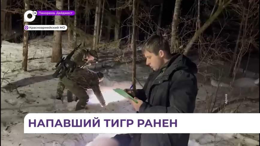 В Красноармейском округе инициирована операция по поиску и отлову конфликтного хищника
