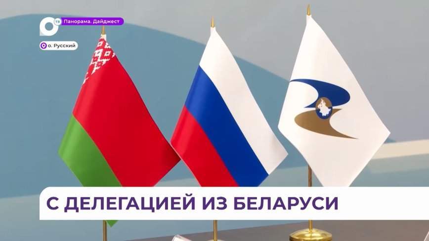 Проекты, прямые рейсы, гумпомощь: Олег Кожемяко встретился с белорусской делегацией