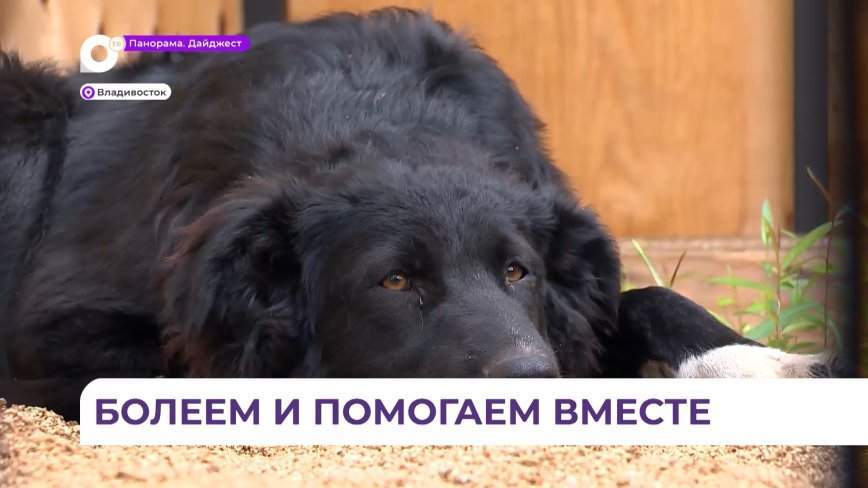 Совместить приятное с полезным: любители хоккея могут принять участие в благотворительной акции