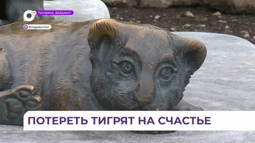 Бронзовые тигрята Амурчик и Тайга вернулись на Спортивную набережную Владивостока