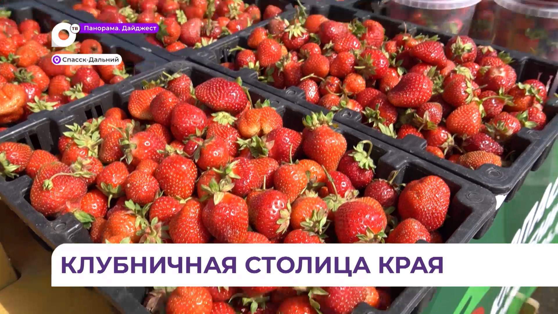 В Спасске-Дальнем ярко и весело прошёл клубничный фестиваль 