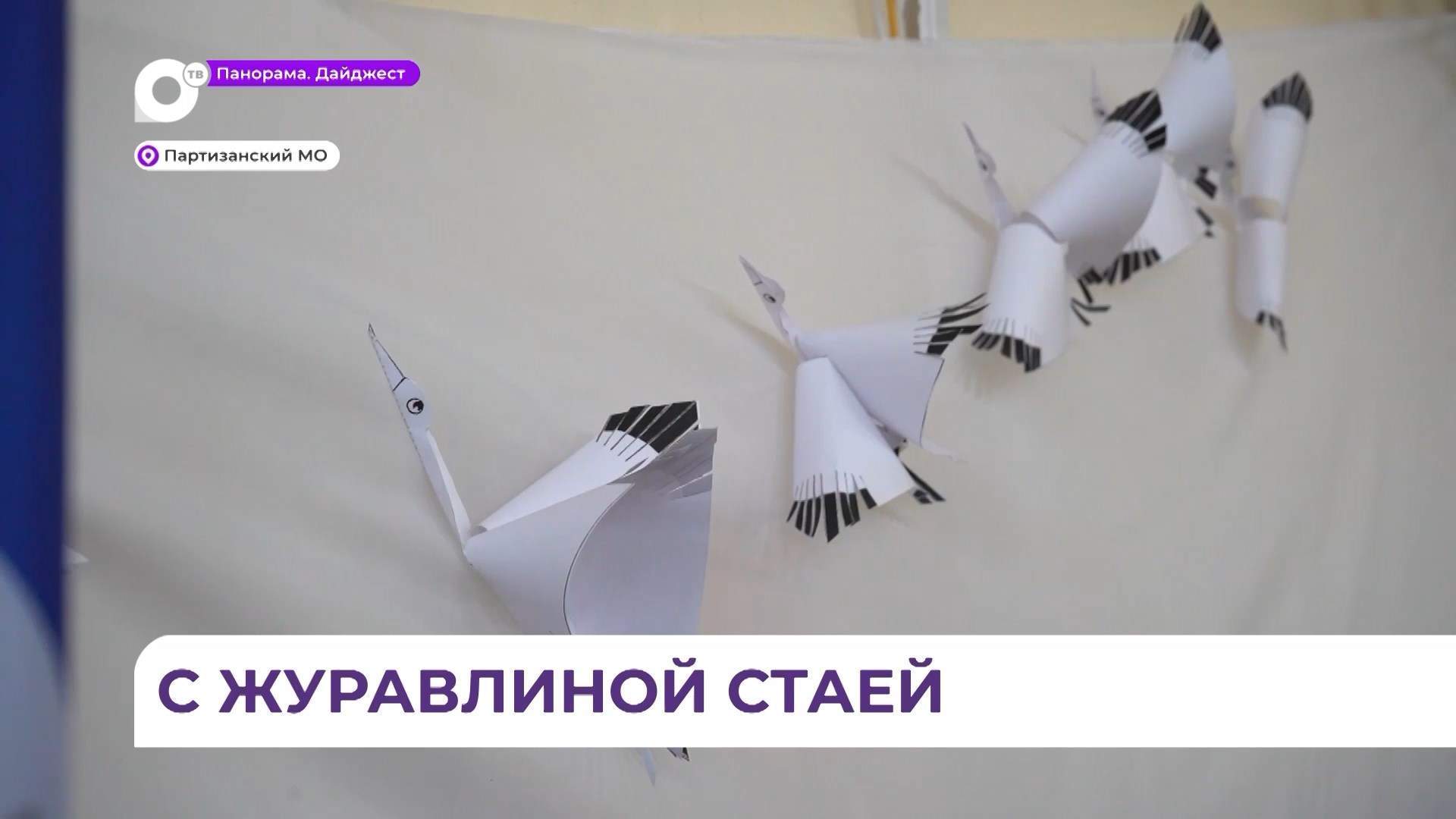 Стая журавлей прилетела в школу села Владимиро-Александровское