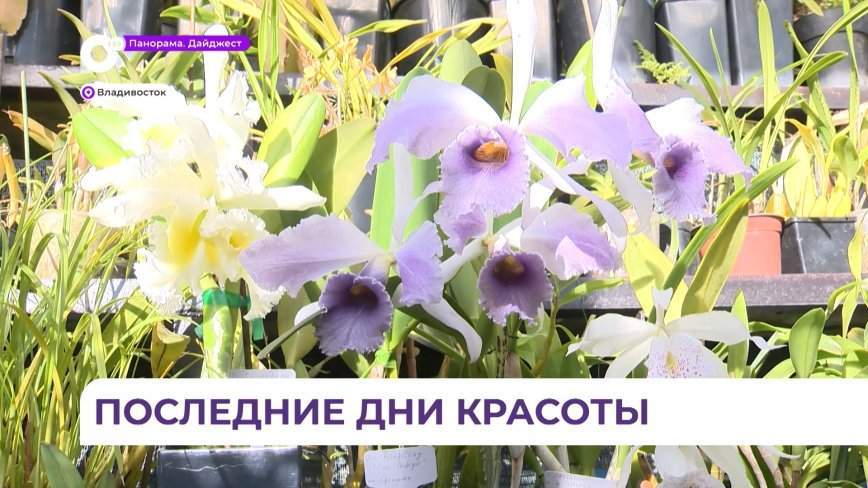 До конца зимы приморцы могут насладиться экзотическими цветами в Ботаническом саду Владивостока