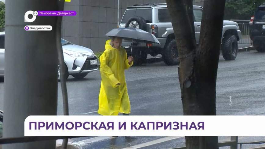 Жители Владивостока рассказали, как относятся к переменам погоды в Приморье