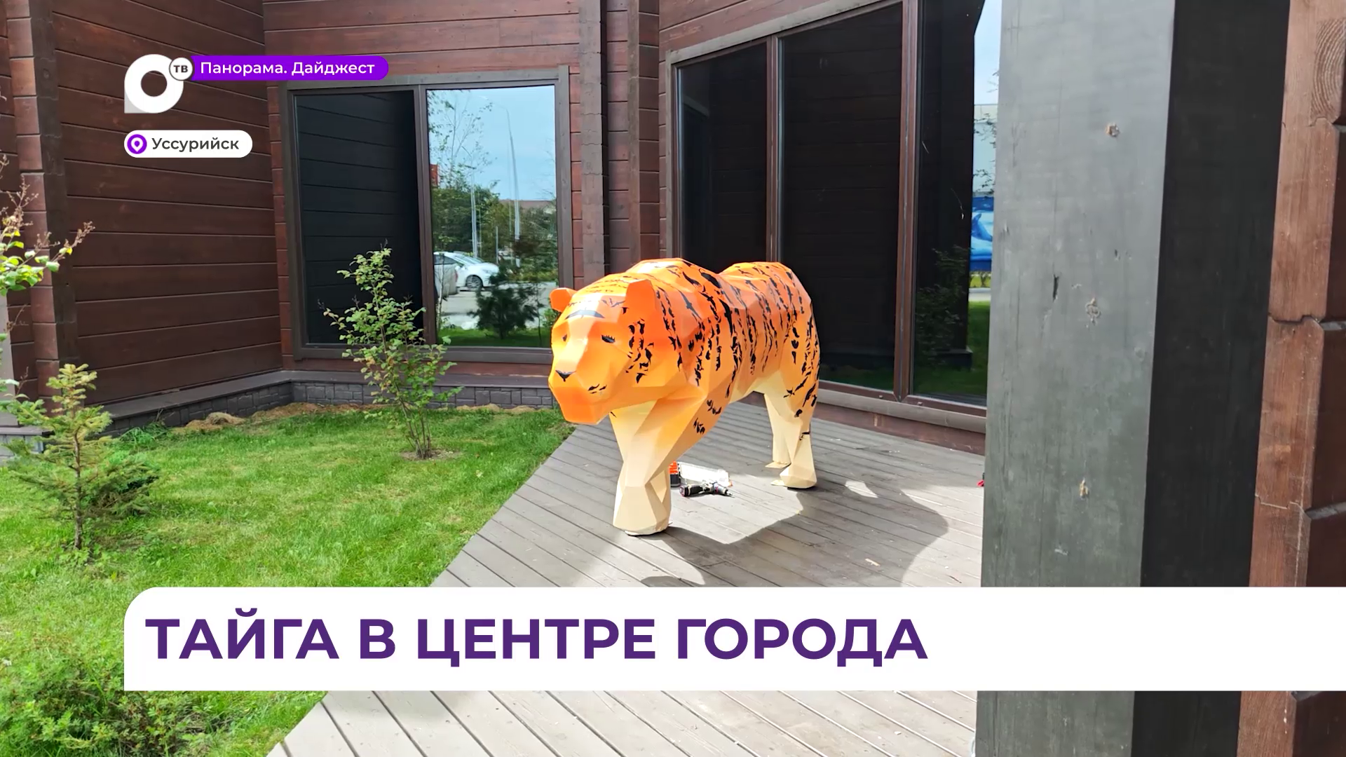 Два новых тигра прибыли в музей Уссурийской тайги на его годовщину