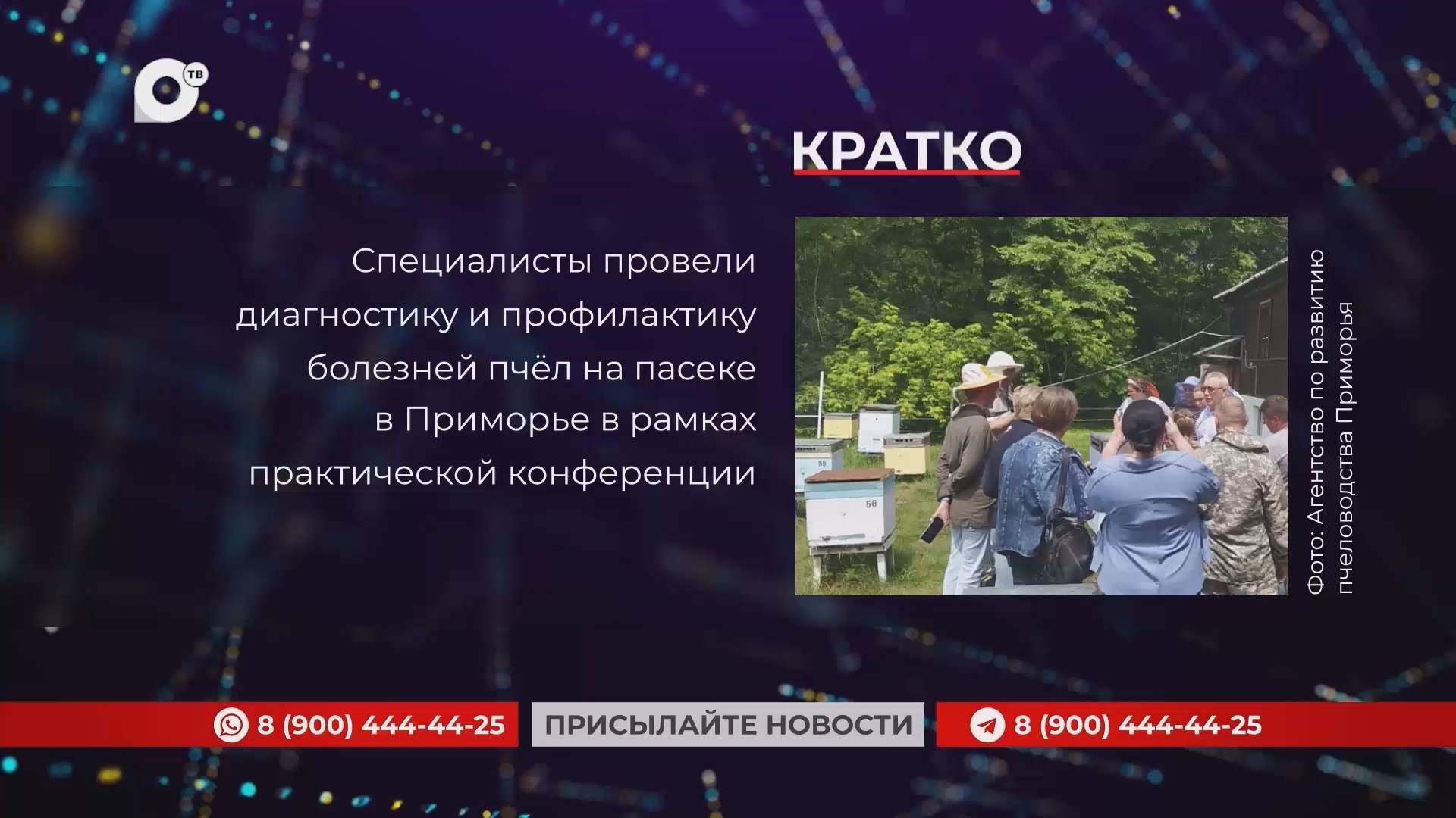 Кратко / 03.07.25 / Вечер