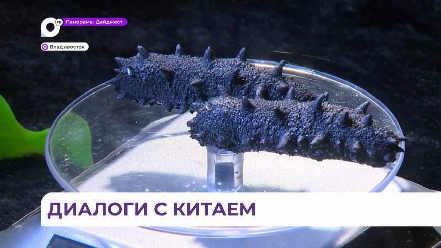 Участники международного клуба «Диалоги» встретились с китайскими предпринимателями