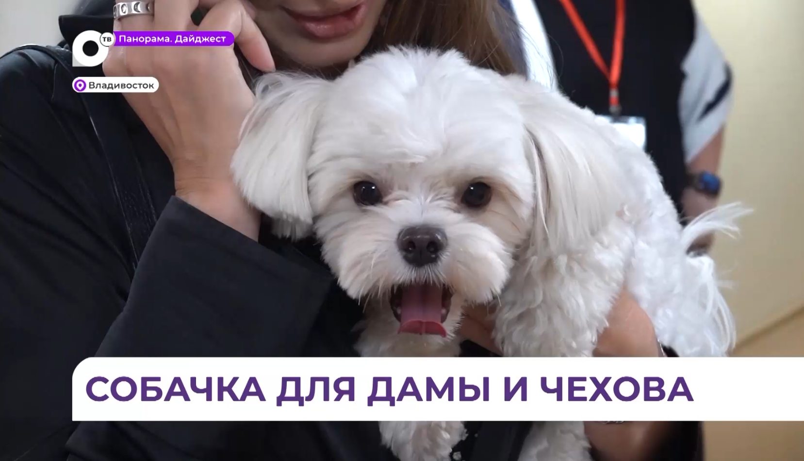 Необычный актёр сыграл одну из главных ролей в спектакле китайского режиссёра «Дама с собачкой»